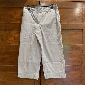 ✅ Talbots sz 10 wide leg cropped chino slacks pants pin stripe Navy White cotton